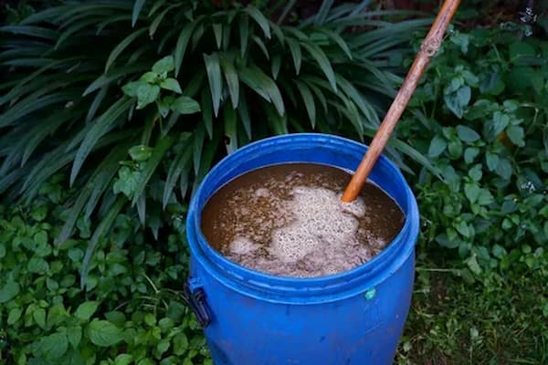 تصویر 4 از قیمت خرید کود مخصوص گندم و جو با فروش عمده